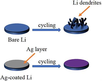 Lithiophilic Silver Coating on Lithium Metal Surface for Inhibiting Lithium Dendrites